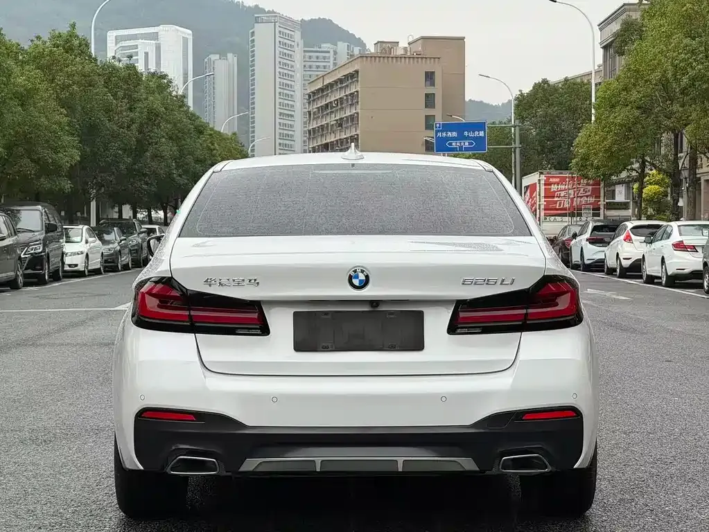 BMW 5 Series 2021 из CN, фото 5