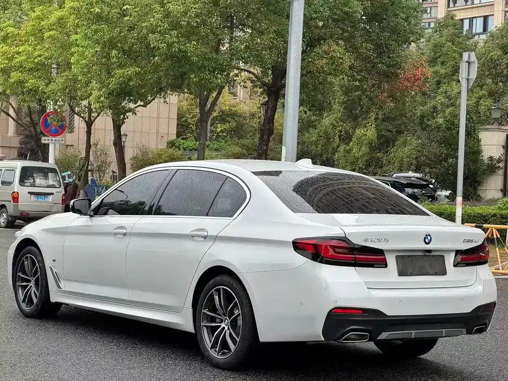 BMW 5 Series 2021 из CN, фото 6