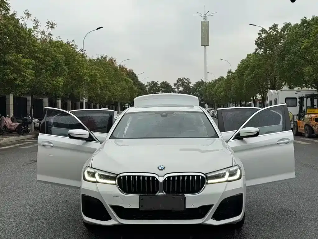 BMW 5 Series 2021 из CN, фото 7