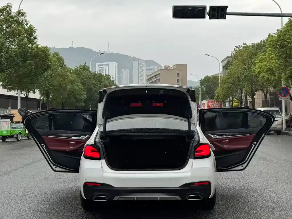 BMW 5 Series 2021 из CN, фото 9
