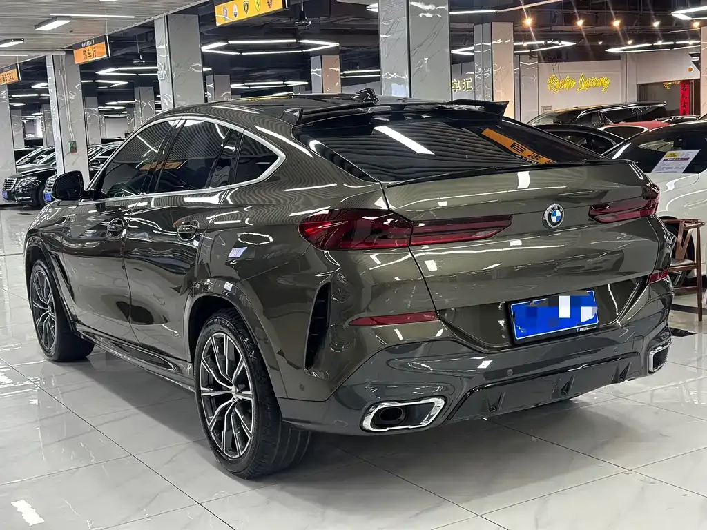 BMW X6 2021 из CN, фото 6