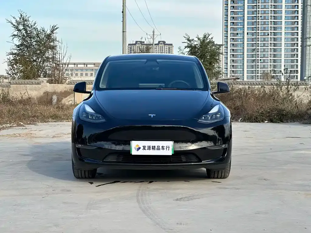 Tesla Model Y — фото 2