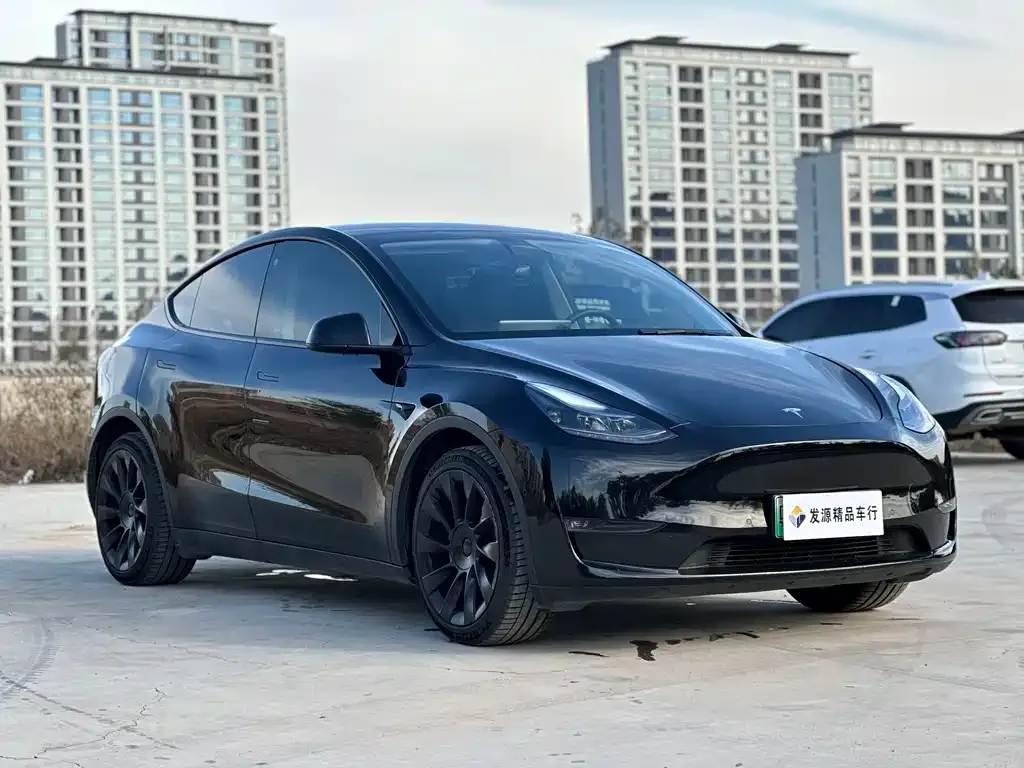 Tesla Model Y — фото 3