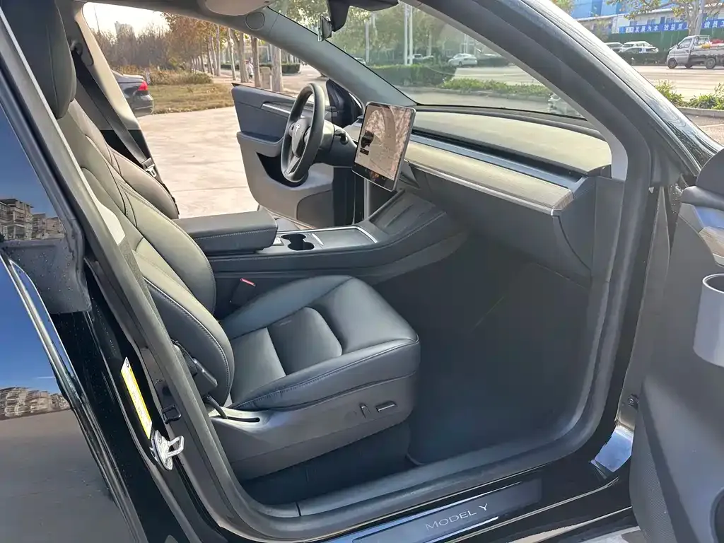 Tesla Model Y — фото 9