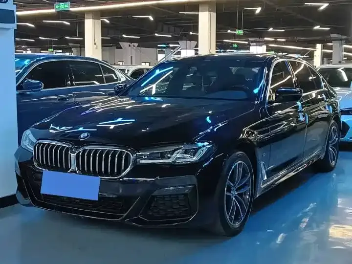 BMW 5 Series 2021 из CN, фото 1