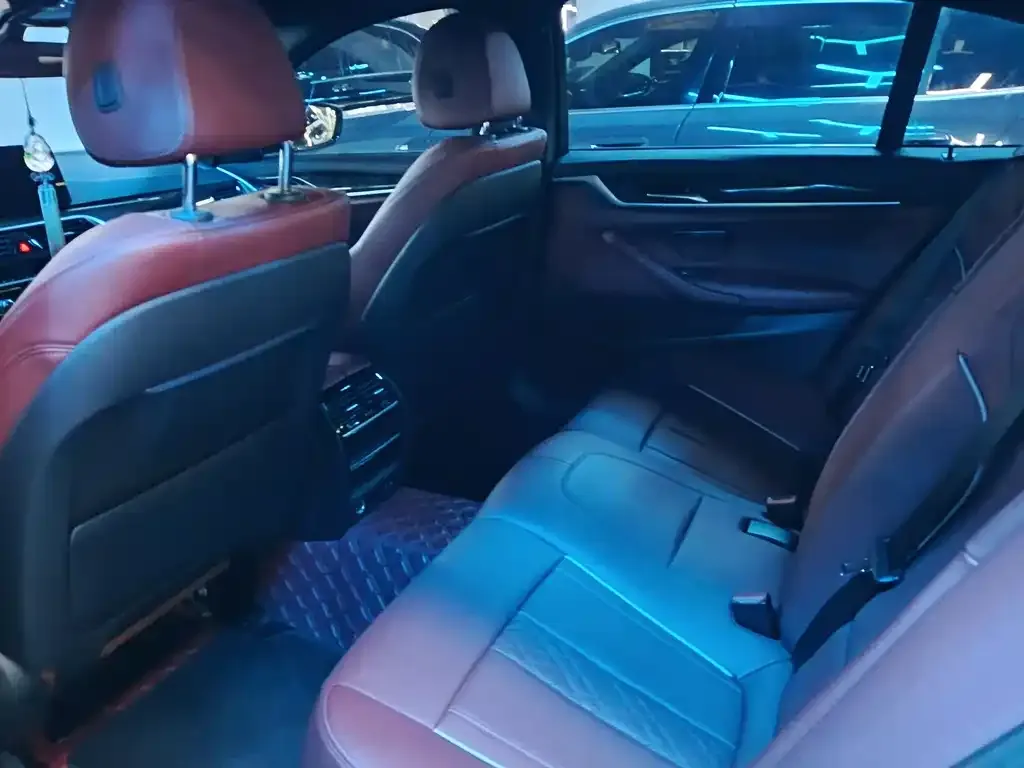 BMW 5 Series 2021 из CN, фото 10