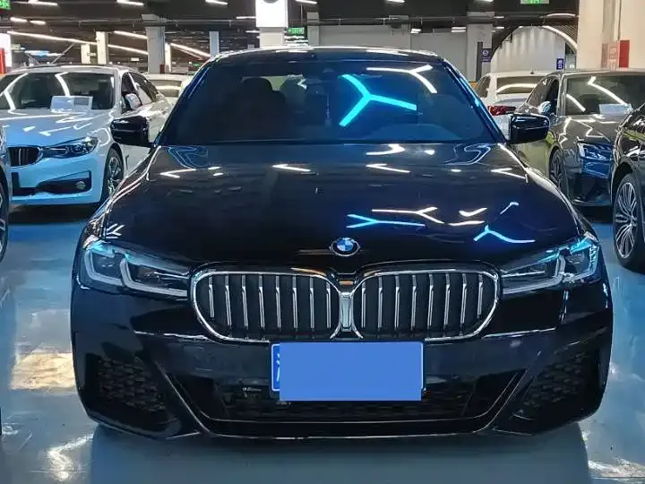 BMW 5 Series 2021 из CN, фото 2