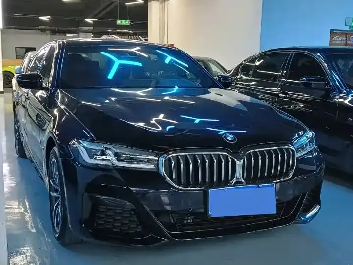 BMW 5 Series 2021 из CN, фото 3