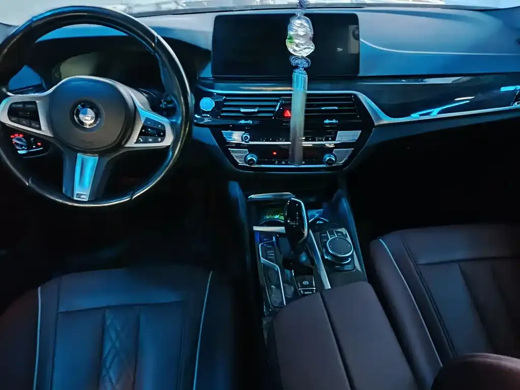 BMW 5 Series 2021 из CN, фото 8