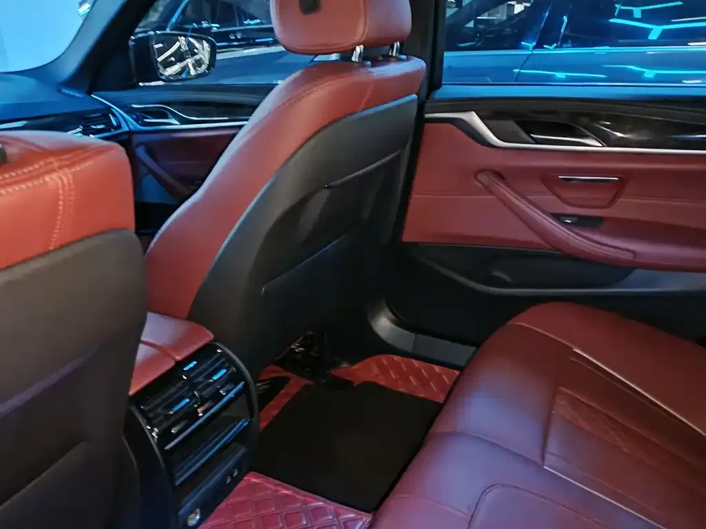 BMW 5 Series 2021 из CN, фото 9