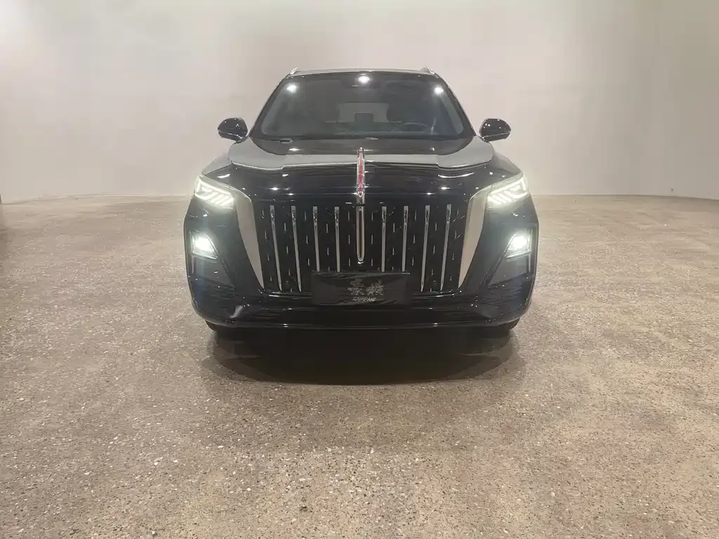 Hongqi HS5 2023 из CN, фото 2