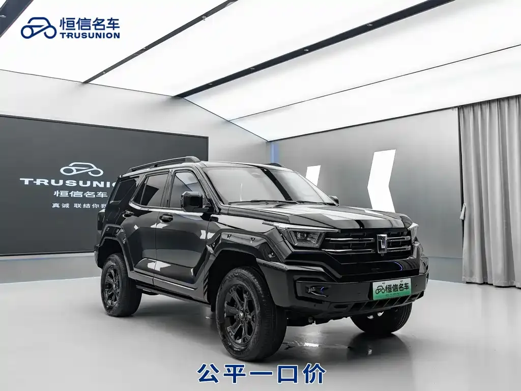 Tank 400 New Energy 2025 из CN, фото 2