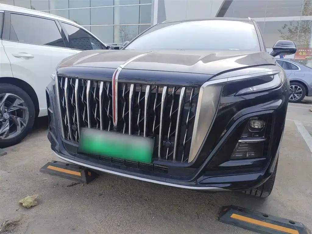 Hongqi HS3 PHEV 2025 из CN, фото 3