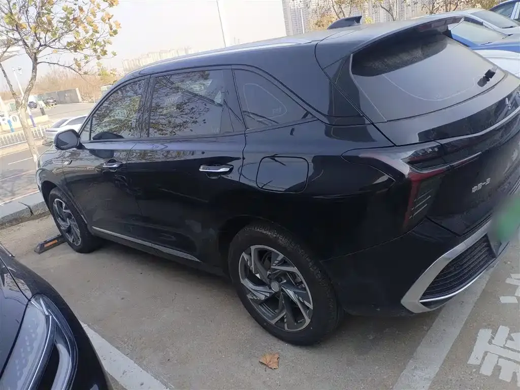 Hongqi HS3 PHEV 2025 из CN, фото 5