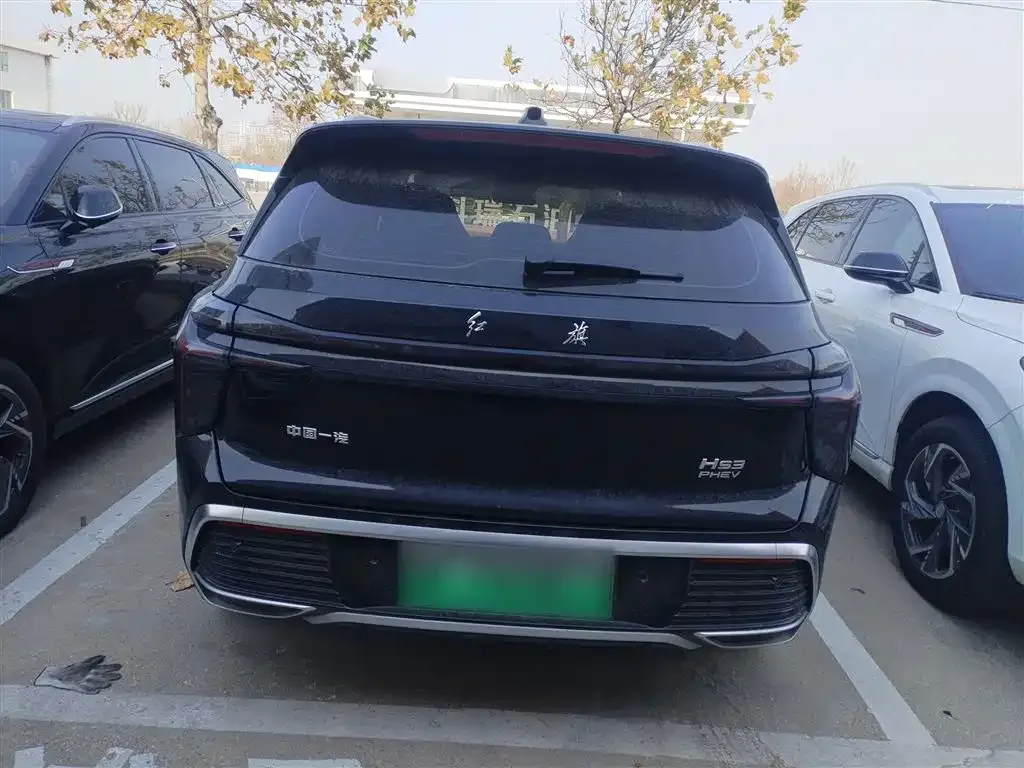 Hongqi HS3 PHEV 2025 из CN, фото 6