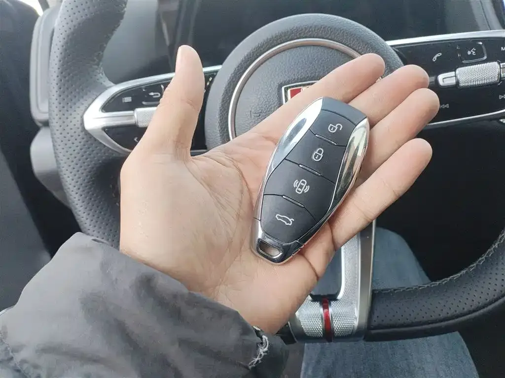 Hongqi HS3 PHEV 2025 из CN, фото 9