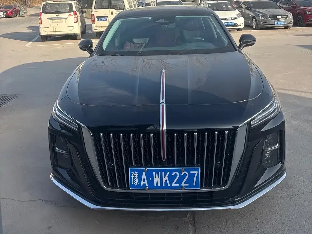 Hongqi H5 2023 из CN, фото 2