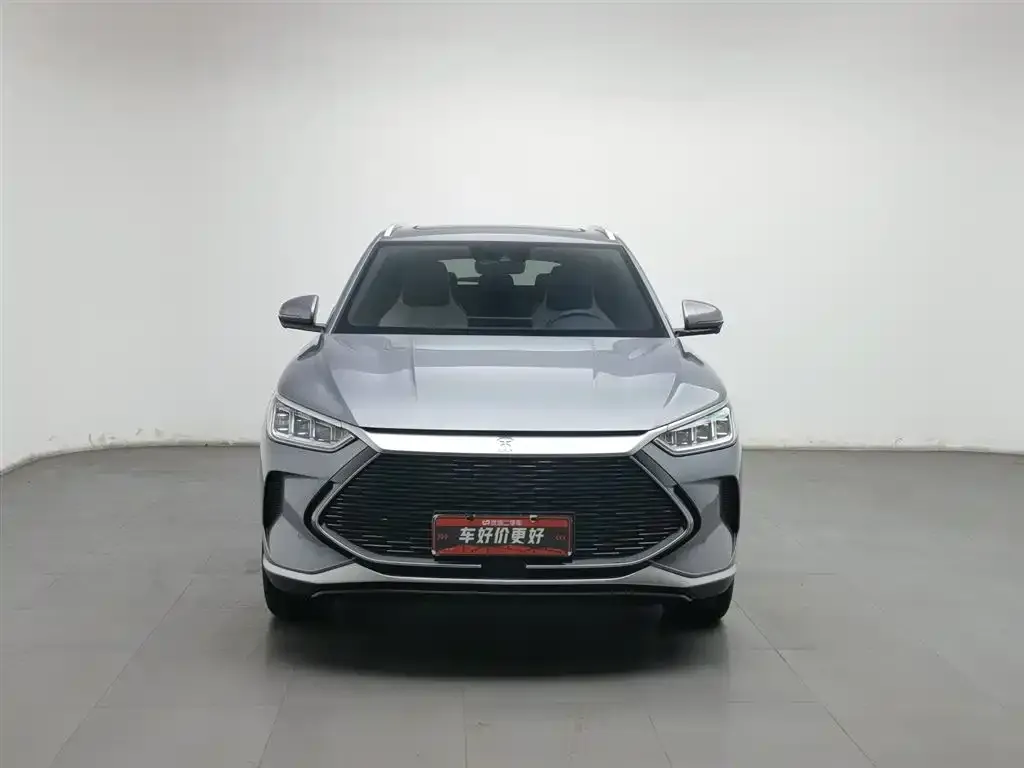 BYD PLUS New Energy 2022 из CN, фото 3
