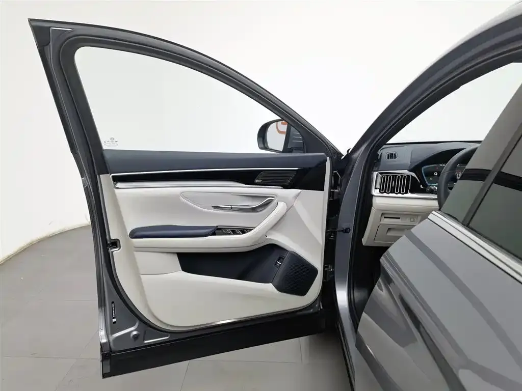 BYD PLUS New Energy 2022 из CN, фото 8