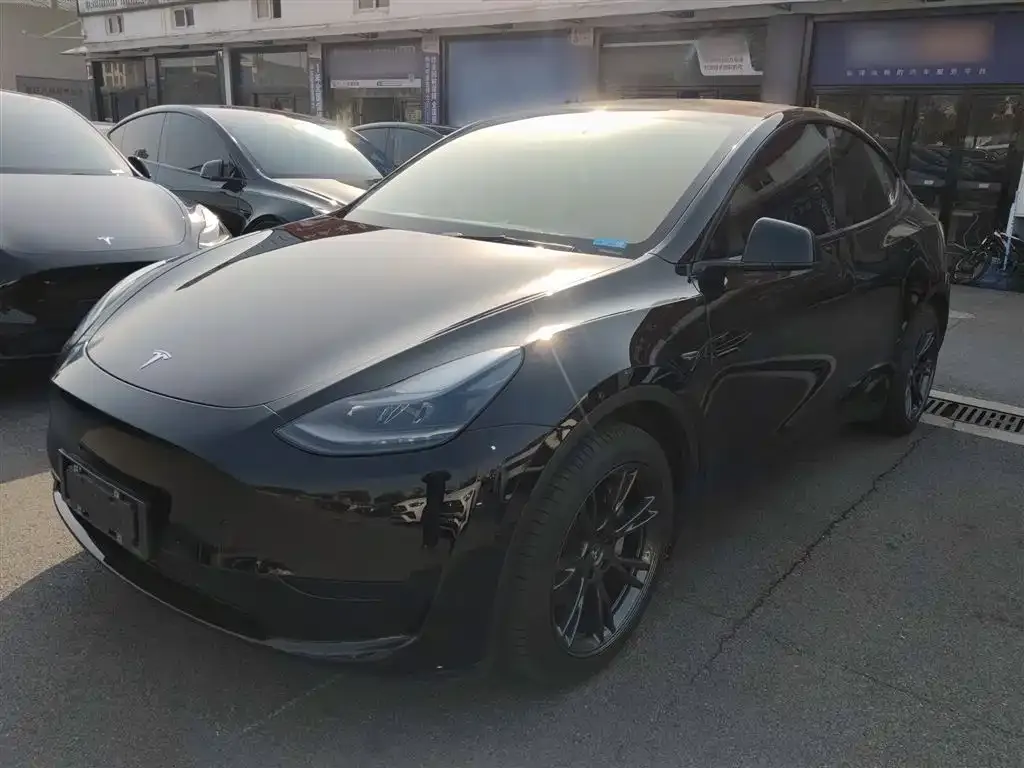 Tesla Model Y 2022 из CN, фото 1