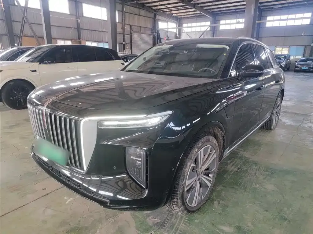 Hongqi E-HS9 2023 из CN, фото 1