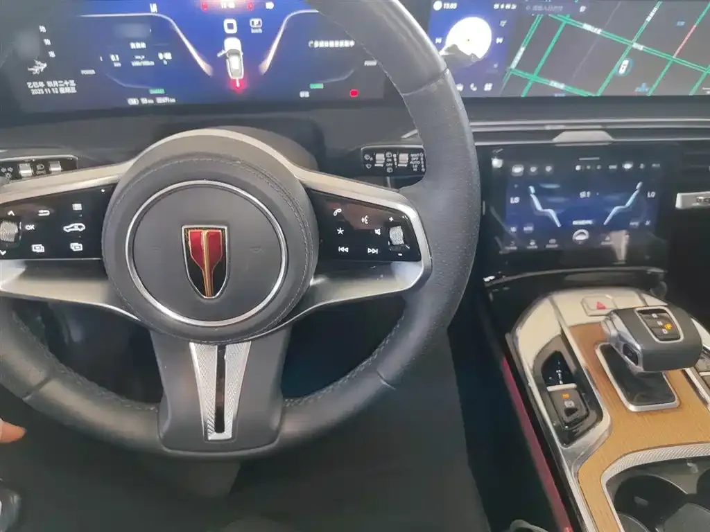 Hongqi E-HS9 2023 из CN, фото 10