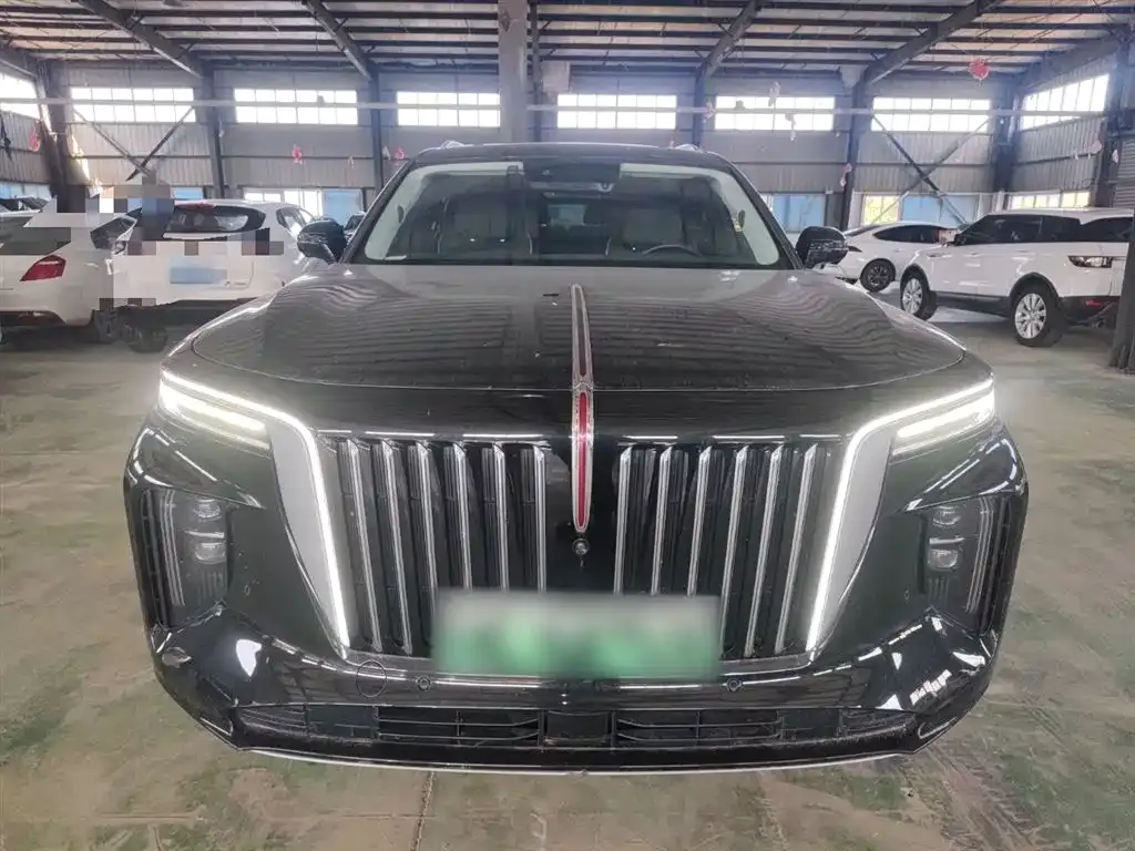 Hongqi E-HS9 2023 из CN, фото 3