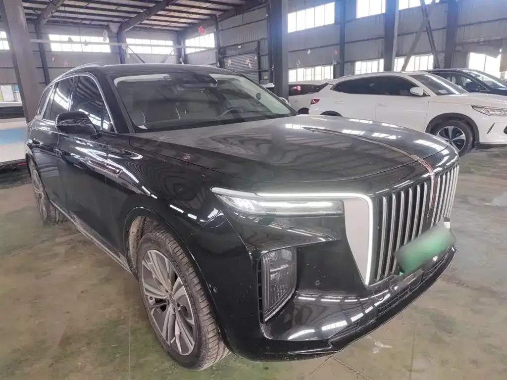 Hongqi E-HS9 2023 из CN, фото 4