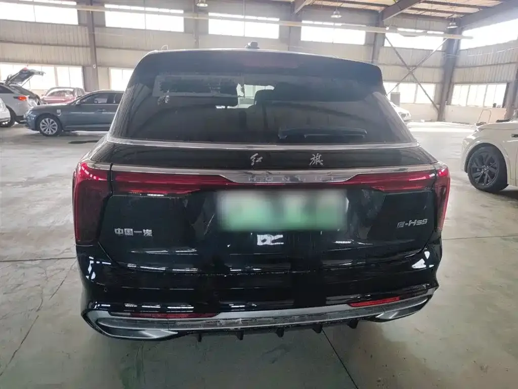 Hongqi E-HS9 2023 из CN, фото 6