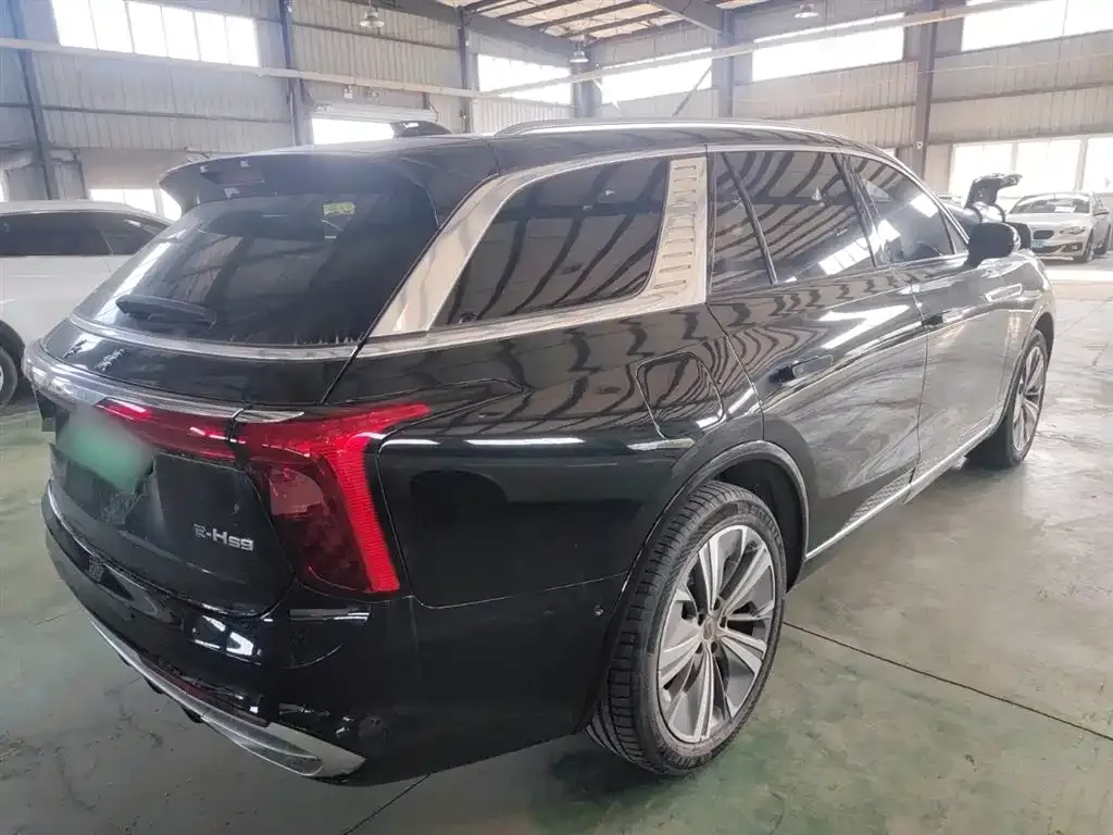Hongqi E-HS9 2023 из CN, фото 7