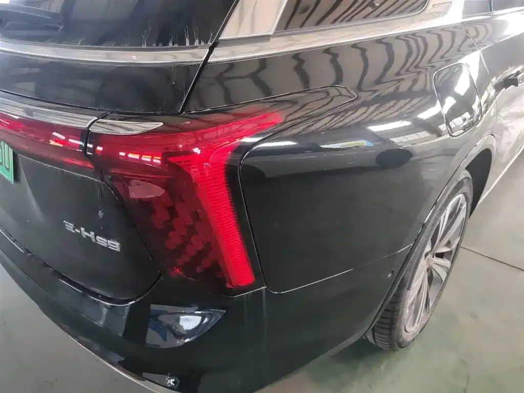 Hongqi E-HS9 2023 из CN, фото 8