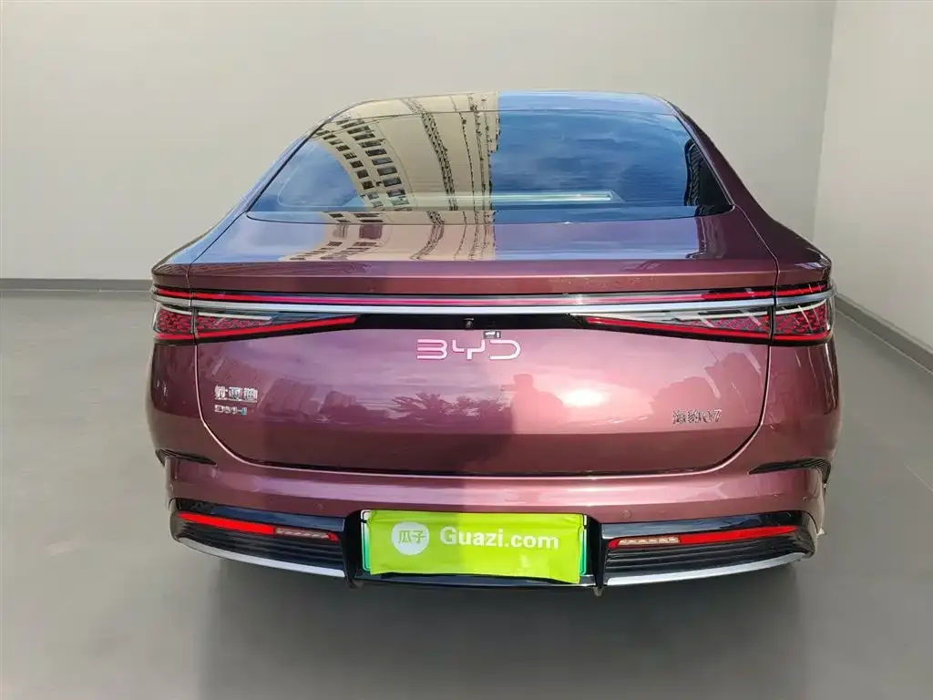 BYD Seal 07 DM-i 2024 из CN, фото 5