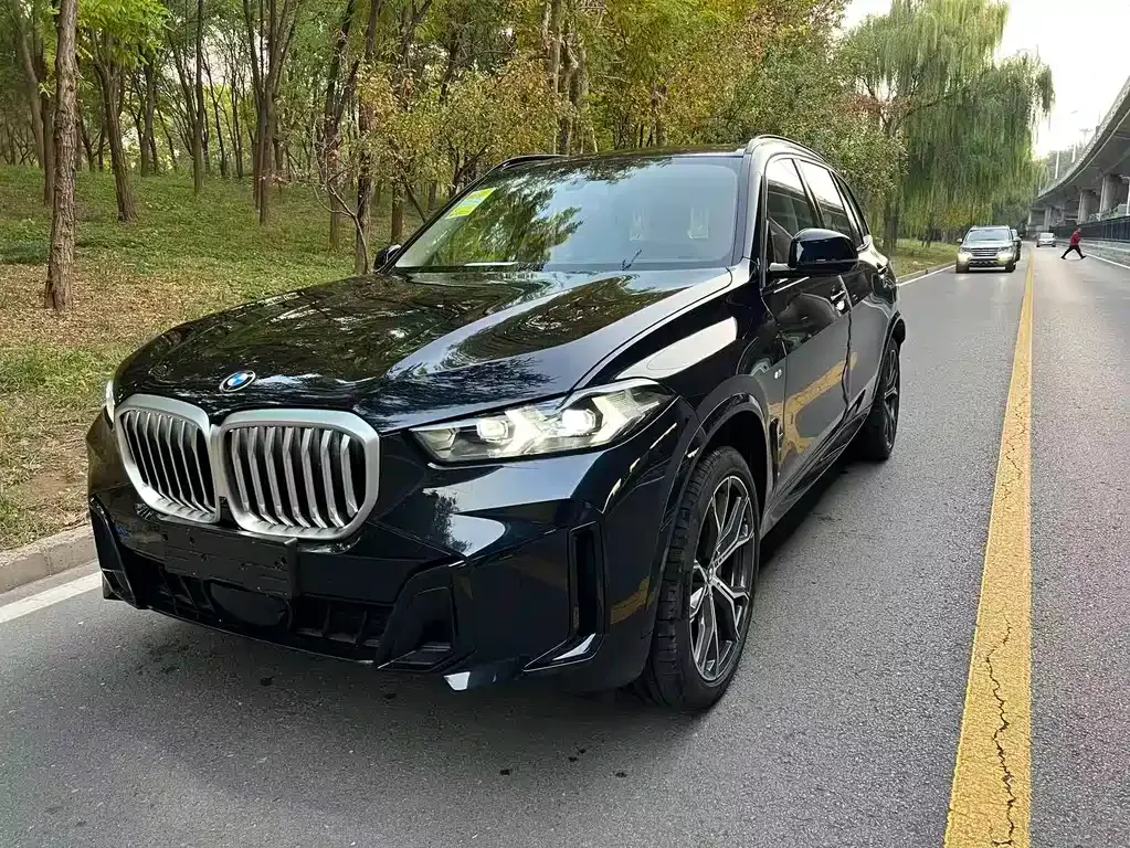 BMW X5 — фото 2