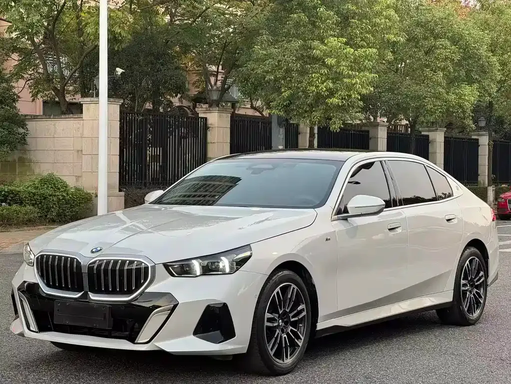 BMW 5 Series 2024 из CN, фото 1
