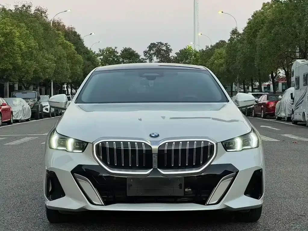 BMW 5 Series 2024 из CN, фото 2