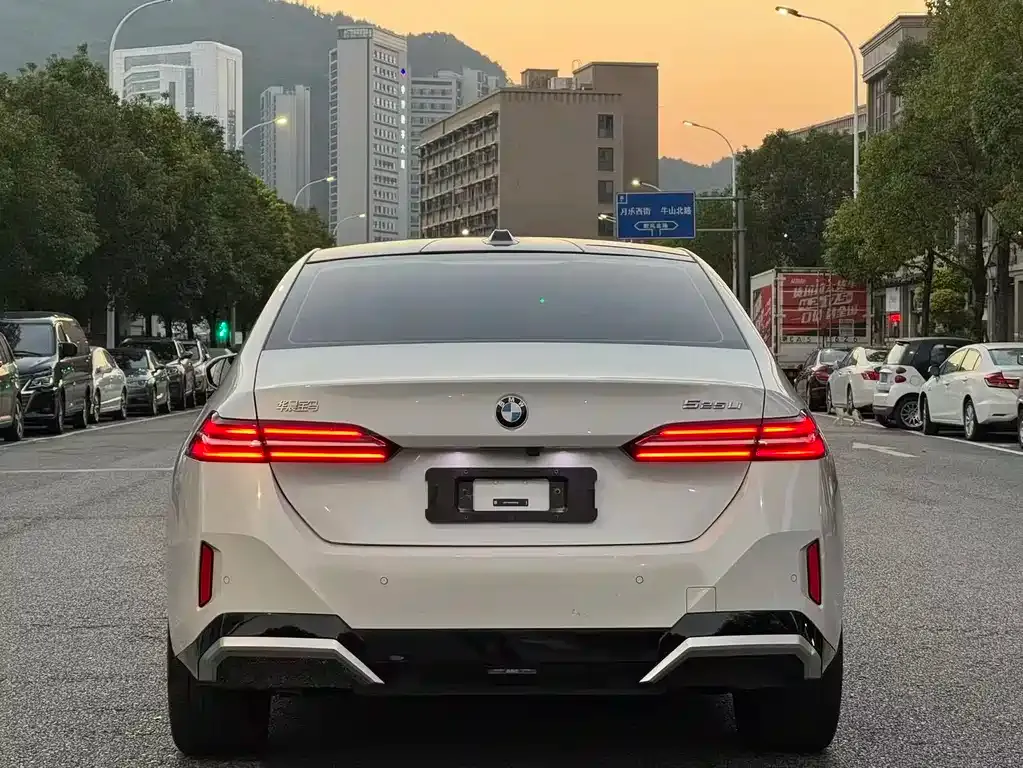 BMW 5 Series 2024 из CN, фото 6