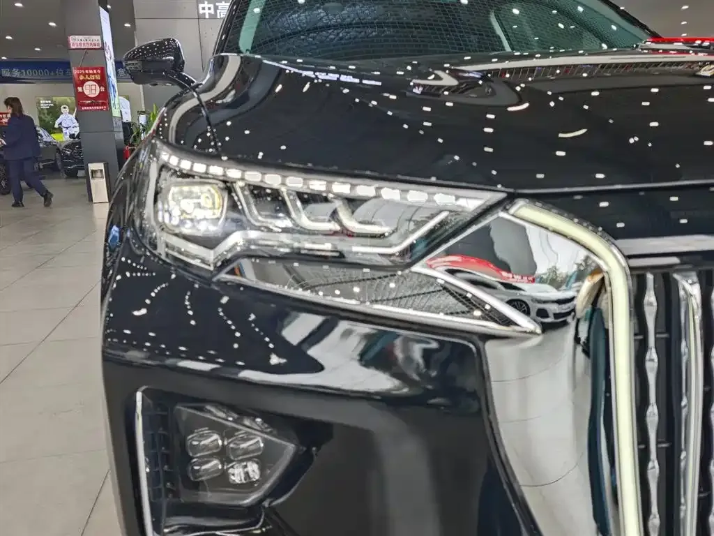 Hongqi HS5 2023 из CN, фото 10