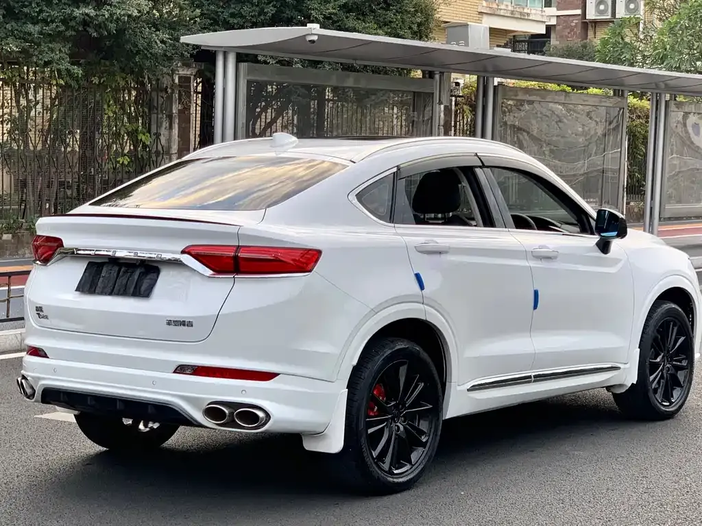 Geely Xingyue 2021 из CN, фото 9