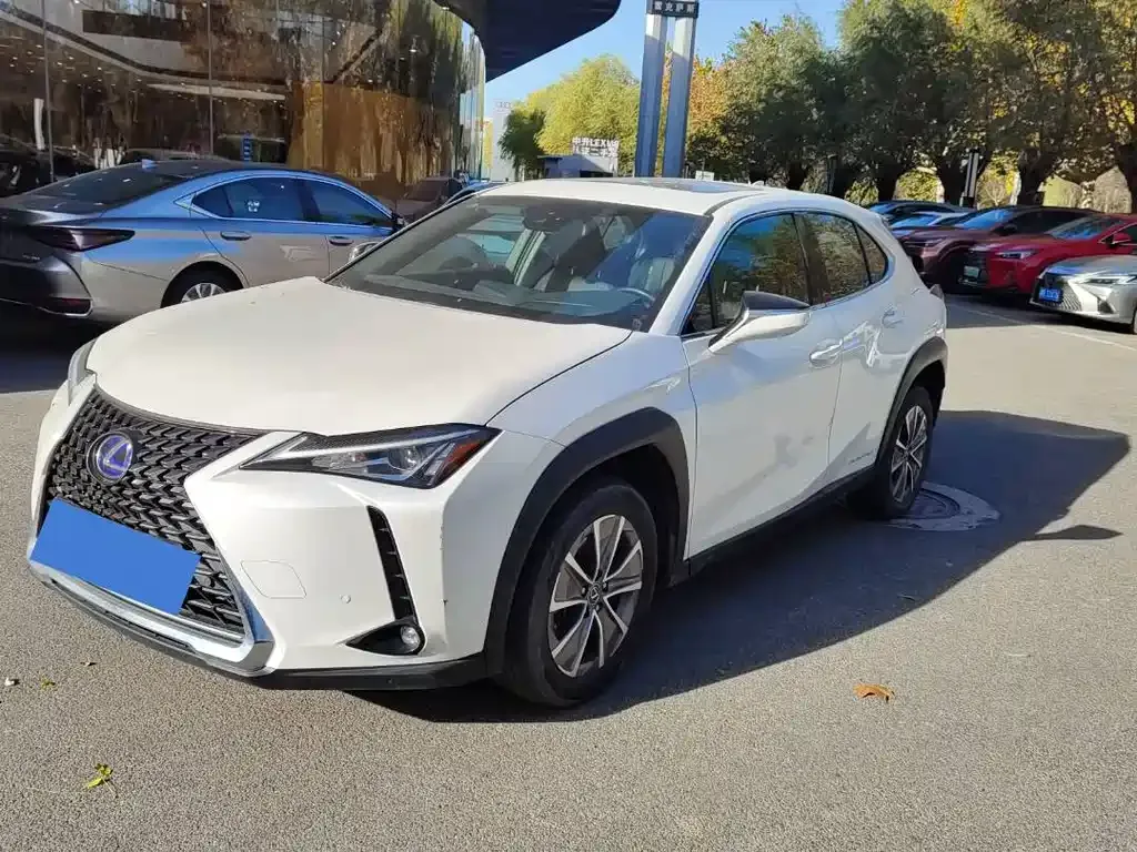 Lexus UX New Energy 2021 из CN, фото 1