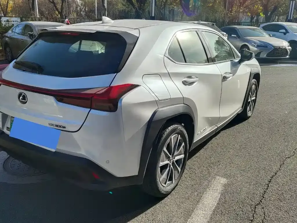 Lexus UX New Energy 2021 из CN, фото 10