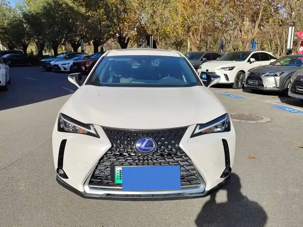Lexus UX New Energy 2021 из CN, фото 2