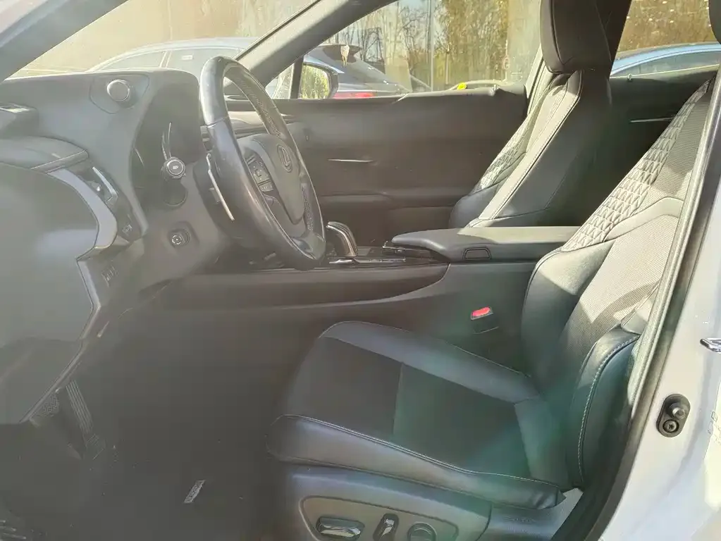 Lexus UX New Energy 2021 из CN, фото 3