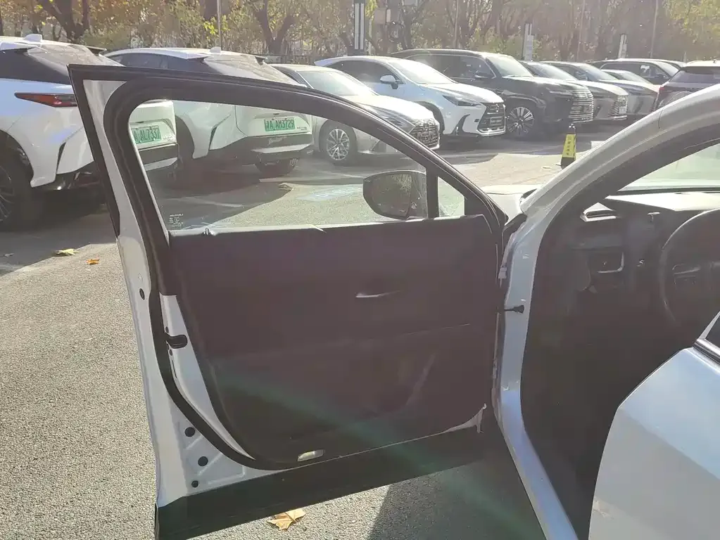Lexus UX New Energy 2021 из CN, фото 5