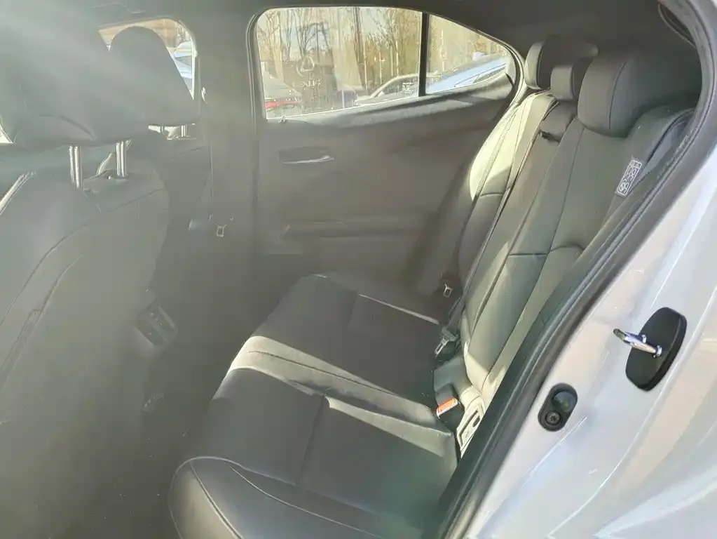 Lexus UX New Energy 2021 из CN, фото 6