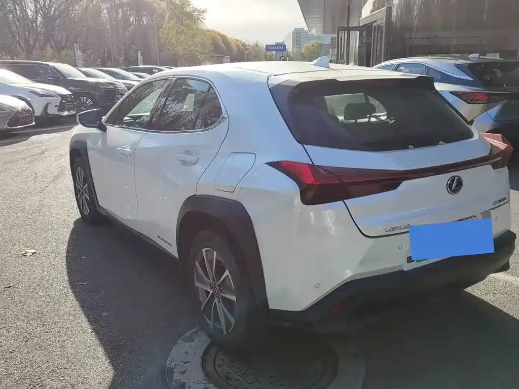 Lexus UX New Energy 2021 из CN, фото 8