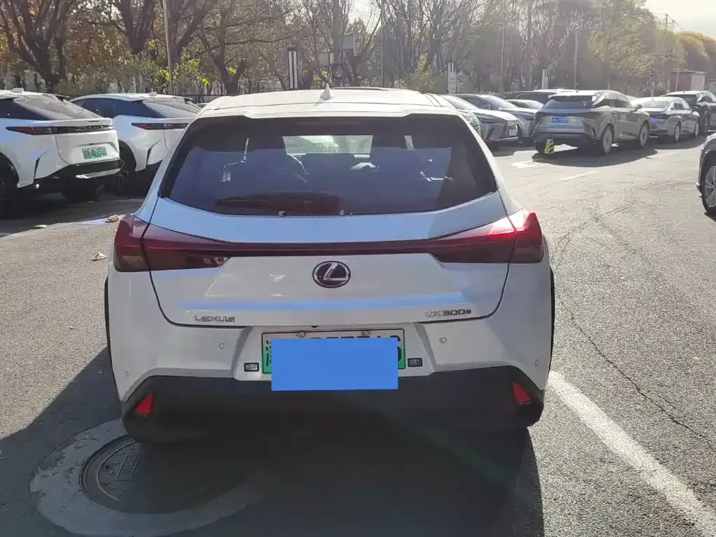 Lexus UX New Energy 2021 из CN, фото 9