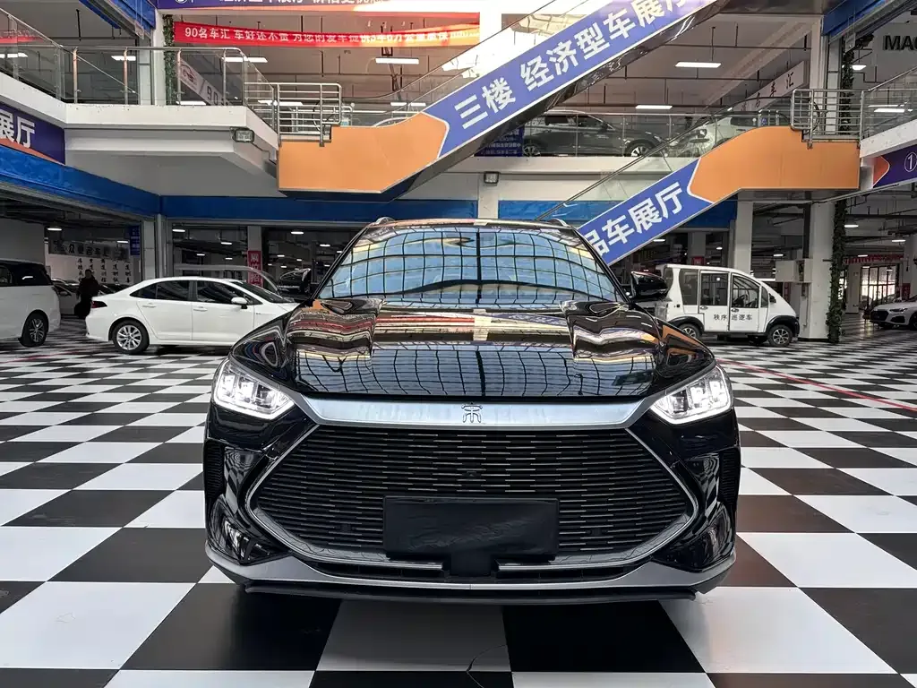BYD PLUS New Energy 2022 из CN, фото 2