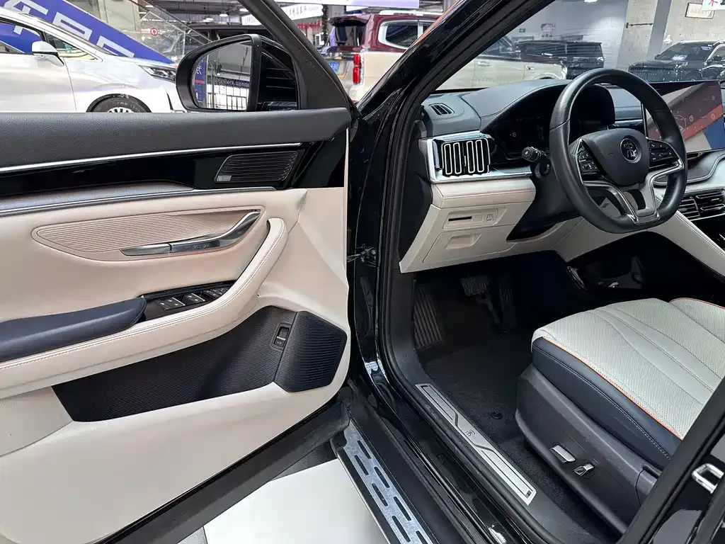 BYD PLUS New Energy 2022 из CN, фото 4