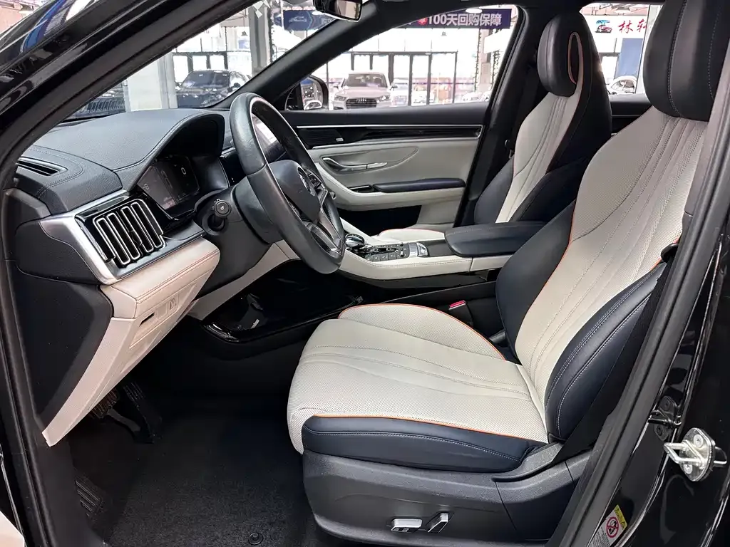BYD PLUS New Energy 2022 из CN, фото 6
