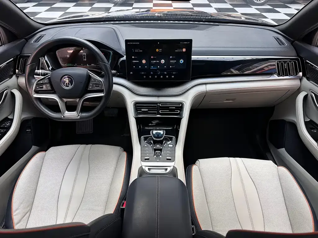 BYD PLUS New Energy 2022 из CN, фото 9